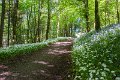Springtime in Monaghan 2013 (18)